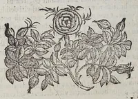 An illustration from Petri Magni Oratio in funere Alexandri Farnesii S.R.E. Cardinalis : in eumdem elegia Francisci Bencij e Societate Iesu (1589)