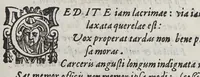 An illustration from Petri Magni Oratio in funere Alexandri Farnesii S.R.E. Cardinalis : in eumdem elegia Francisci Bencij e Societate Iesu (1589)