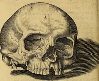 Picture 34 of 63 from Petri Paaw Amsteldamensis, in Academia Lugduno-Batava anatomici & botanici professoris Primitiae anatomicae : de humani corporis ossibus (1615), leaf 111