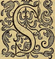 Picture 43 of 63 from Petri Paaw Amsteldamensis, in Academia Lugduno-Batava anatomici & botanici professoris Primitiae anatomicae : de humani corporis ossibus (1615), leaf 127