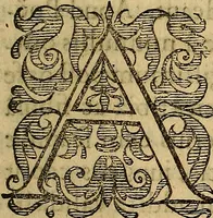 Picture 58 of 63 from Petri Paaw Amsteldamensis, in Academia Lugduno-Batava anatomici & botanici professoris Primitiae anatomicae : de humani corporis ossibus (1615), leaf 176