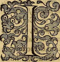 Picture 59 of 63 from Petri Paaw Amsteldamensis, in Academia Lugduno-Batava anatomici & botanici professoris Primitiae anatomicae : de humani corporis ossibus (1615), leaf 189