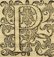 Picture 6 of 63 from Petri Paaw Amsteldamensis, in Academia Lugduno-Batava anatomici & botanici professoris Primitiae anatomicae : de humani corporis ossibus (1615), leaf 23