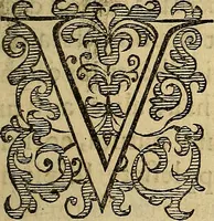 An illustration from Petri Paaw Amsteldamensis, in Academia Lugduno-Batava anatomici & botanici professoris Primitiae anatomicae : de humani corporis ossibus (1615)