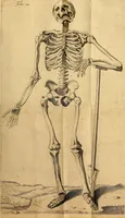 Picture 11 of 63 from Petri Paaw Amsteldamensis, in Academia Lugduno-Batava anatomici & botanici professoris Primitiae anatomicae : de humani corporis ossibus (1615), leaf 44