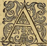 Picture 12 of 63 from Petri Paaw Amsteldamensis, in Academia Lugduno-Batava anatomici & botanici professoris Primitiae anatomicae : de humani corporis ossibus (1615), leaf 47