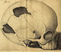 An illustration from Petri Paaw Amsteldamensis, in Academia Lugduno-Batava anatomici & botanici professoris Primitiae anatomicae : de humani corporis ossibus (1615)