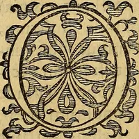 An illustration from Petri Paaw Amsteldamensis, in Academia Lugduno-Batava anatomici & botanici professoris Primitiae anatomicae : de humani corporis ossibus (1615)