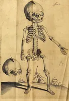 An illustration from Petri Paaw Amsteldamensis, in Academia Lugduno-Batava anatomici & botanici professoris Primitiae anatomicae : de humani corporis ossibus (1615)