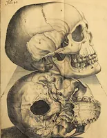 Picture 22 of 63 from Petri Paaw Amsteldamensis, in Academia Lugduno-Batava anatomici & botanici professoris Primitiae anatomicae : de humani corporis ossibus (1615), leaf 74