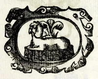 Picture 6 of 25 from Petri Pauli Boschae bibliothecarii, ex sodalitio Sacerdotum Oblatorum, De origine et statu bibliothecae Ambrosianae hemidecas (1672), leaf 21