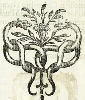 Picture 8 of 25 from Petri Pauli Boschae bibliothecarii, ex sodalitio Sacerdotum Oblatorum, De origine et statu bibliothecae Ambrosianae hemidecas (1672), leaf 22