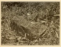 Picture 1 of 6 from Petroglyphs of Saint Vincent, British West Indies (1914), leaf 11