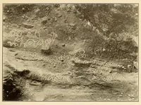 An illustration from Petroglyphs of Saint Vincent, British West Indies (1914)