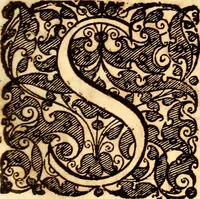An illustration from P. Gasparis Schotti, regis curtani ... Physica curiosa, sive, Mirabilia naturæ et artis libris XII. comprehensa : quibus pleraq[ue], quæ de angelis, dæmonibus, hominibus, spectris, energumenis, monstris, portentis, animalibus, meteoris, &c. rara, arcana, curiosaq[ue] circumferuntur, ad veritatis trutinam expenduntur : variis ex historia ac philosophia petitis disquisitionibus excutiuntur, & innumeris exemplis illustrantur .. (1662)