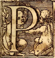 An illustration from P. Gasparis Schotti, regis curtani ... Physica curiosa, sive, Mirabilia naturæ et artis libris XII. comprehensa : quibus pleraq[ue], quæ de angelis, dæmonibus, hominibus, spectris, energumenis, monstris, portentis, animalibus, meteoris, &c. rara, arcana, curiosaq[ue] circumferuntur, ad veritatis trutinam expenduntur : variis ex historia ac philosophia petitis disquisitionibus excutiuntur, & innumeris exemplis illustrantur .. (1662)