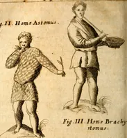 Picture 19 of 45 from P. Gasparis Schotti, regis curtani ... Physica curiosa, sive, Mirabilia naturæ et artis libris XII. comprehensa : quibus pleraq[ue], quæ de angelis, dæmonibus, hominibus, spectris, energumenis, monstris, portentis, animalibus, meteoris, &c. rara, arcana, curiosaq[ue] circumferuntur, ad veritatis trutinam expenduntur : variis ex historia ac philosophia petitis disquisitionibus excutiuntur, & innumeris exemplis illustrantur .. (1662), leaf 523
