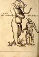 An illustration from P. Gasparis Schotti, regis curtani ... Physica curiosa, sive, Mirabilia naturæ et artis libris XII. comprehensa : quibus pleraq[ue], quæ de angelis, dæmonibus, hominibus, spectris, energumenis, monstris, portentis, animalibus, meteoris, &c. rara, arcana, curiosaq[ue] circumferuntur, ad veritatis trutinam expenduntur : variis ex historia ac philosophia petitis disquisitionibus excutiuntur, & innumeris exemplis illustrantur .. (1662)