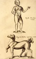 Picture 27 of 45 from P. Gasparis Schotti, regis curtani ... Physica curiosa, sive, Mirabilia naturæ et artis libris XII. comprehensa : quibus pleraq[ue], quæ de angelis, dæmonibus, hominibus, spectris, energumenis, monstris, portentis, animalibus, meteoris, &c. rara, arcana, curiosaq[ue] circumferuntur, ad veritatis trutinam expenduntur : variis ex historia ac philosophia petitis disquisitionibus excutiuntur, & innumeris exemplis illustrantur .. (1662), leaf 753