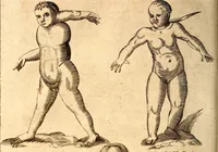 An illustration from P. Gasparis Schotti, regis curtani ... Physica curiosa, sive, Mirabilia naturæ et artis libris XII. comprehensa : quibus pleraq[ue], quæ de angelis, dæmonibus, hominibus, spectris, energumenis, monstris, portentis, animalibus, meteoris, &c. rara, arcana, curiosaq[ue] circumferuntur, ad veritatis trutinam expenduntur : variis ex historia ac philosophia petitis disquisitionibus excutiuntur, & innumeris exemplis illustrantur .. (1662)