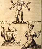 An illustration from P. Gasparis Schotti, regis curtani ... Physica curiosa, sive, Mirabilia naturæ et artis libris XII. comprehensa : quibus pleraq[ue], quæ de angelis, dæmonibus, hominibus, spectris, energumenis, monstris, portentis, animalibus, meteoris, &c. rara, arcana, curiosaq[ue] circumferuntur, ad veritatis trutinam expenduntur : variis ex historia ac philosophia petitis disquisitionibus excutiuntur, & innumeris exemplis illustrantur .. (1662)