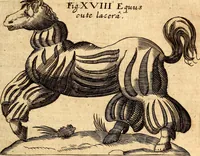 An illustration from P. Gasparis Schotti, regis curtani ... Physica curiosa, sive, Mirabilia naturæ et artis libris XII. comprehensa : quibus pleraq[ue], quæ de angelis, dæmonibus, hominibus, spectris, energumenis, monstris, portentis, animalibus, meteoris, &c. rara, arcana, curiosaq[ue] circumferuntur, ad veritatis trutinam expenduntur : variis ex historia ac philosophia petitis disquisitionibus excutiuntur, & innumeris exemplis illustrantur .. (1662)