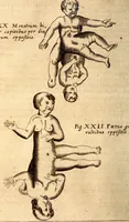 An illustration from P. Gasparis Schotti, regis curtani ... Physica curiosa, sive, Mirabilia naturæ et artis libris XII. comprehensa : quibus pleraq[ue], quæ de angelis, dæmonibus, hominibus, spectris, energumenis, monstris, portentis, animalibus, meteoris, &c. rara, arcana, curiosaq[ue] circumferuntur, ad veritatis trutinam expenduntur : variis ex historia ac philosophia petitis disquisitionibus excutiuntur, & innumeris exemplis illustrantur .. (1662)
