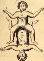 An illustration from P. Gasparis Schotti, regis curtani ... Physica curiosa, sive, Mirabilia naturæ et artis libris XII. comprehensa : quibus pleraq[ue], quæ de angelis, dæmonibus, hominibus, spectris, energumenis, monstris, portentis, animalibus, meteoris, &c. rara, arcana, curiosaq[ue] circumferuntur, ad veritatis trutinam expenduntur : variis ex historia ac philosophia petitis disquisitionibus excutiuntur, & innumeris exemplis illustrantur .. (1662)
