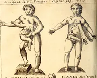 An illustration from P. Gasparis Schotti, regis curtani ... Physica curiosa, sive, Mirabilia naturæ et artis libris XII. comprehensa : quibus pleraq[ue], quæ de angelis, dæmonibus, hominibus, spectris, energumenis, monstris, portentis, animalibus, meteoris, &c. rara, arcana, curiosaq[ue] circumferuntur, ad veritatis trutinam expenduntur : variis ex historia ac philosophia petitis disquisitionibus excutiuntur, & innumeris exemplis illustrantur .. (1662)
