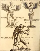An illustration from P. Gasparis Schotti, regis curtani ... Physica curiosa, sive, Mirabilia naturæ et artis libris XII. comprehensa : quibus pleraq[ue], quæ de angelis, dæmonibus, hominibus, spectris, energumenis, monstris, portentis, animalibus, meteoris, &c. rara, arcana, curiosaq[ue] circumferuntur, ad veritatis trutinam expenduntur : variis ex historia ac philosophia petitis disquisitionibus excutiuntur, & innumeris exemplis illustrantur .. (1662)