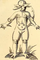 An illustration from P. Gasparis Schotti, regis curtani ... Physica curiosa, sive, Mirabilia naturæ et artis libris XII. comprehensa : quibus pleraq[ue], quæ de angelis, dæmonibus, hominibus, spectris, energumenis, monstris, portentis, animalibus, meteoris, &c. rara, arcana, curiosaq[ue] circumferuntur, ad veritatis trutinam expenduntur : variis ex historia ac philosophia petitis disquisitionibus excutiuntur, & innumeris exemplis illustrantur .. (1662)