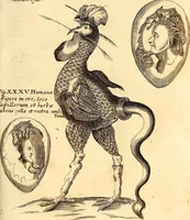 An illustration from P. Gasparis Schotti, regis curtani ... Physica curiosa, sive, Mirabilia naturæ et artis libris XII. comprehensa : quibus pleraq[ue], quæ de angelis, dæmonibus, hominibus, spectris, energumenis, monstris, portentis, animalibus, meteoris, &c. rara, arcana, curiosaq[ue] circumferuntur, ad veritatis trutinam expenduntur : variis ex historia ac philosophia petitis disquisitionibus excutiuntur, & innumeris exemplis illustrantur .. (1662)