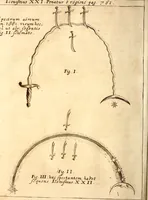 Picture 43 of 45 from P. Gasparis Schotti, regis curtani ... Physica curiosa, sive, Mirabilia naturæ et artis libris XII. comprehensa : quibus pleraq[ue], quæ de angelis, dæmonibus, hominibus, spectris, energumenis, monstris, portentis, animalibus, meteoris, &c. rara, arcana, curiosaq[ue] circumferuntur, ad veritatis trutinam expenduntur : variis ex historia ac philosophia petitis disquisitionibus excutiuntur, & innumeris exemplis illustrantur .. (1662), leaf 867