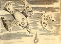 Picture 44 of 45 from P. Gasparis Schotti, regis curtani ... Physica curiosa, sive, Mirabilia naturæ et artis libris XII. comprehensa : quibus pleraq[ue], quæ de angelis, dæmonibus, hominibus, spectris, energumenis, monstris, portentis, animalibus, meteoris, &c. rara, arcana, curiosaq[ue] circumferuntur, ad veritatis trutinam expenduntur : variis ex historia ac philosophia petitis disquisitionibus excutiuntur, & innumeris exemplis illustrantur .. (1662), leaf 870