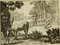 Picture 22 of 103 from Phaedri, Augusti Caesaris liberti, Fabularum Aesopiarum libri quinque ; notis perpetuis illustrati, & cum integris aliorum observationibvs (1667), leaf 114
