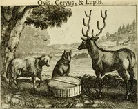 Picture 24 of 103 from Phaedri, Augusti Caesaris liberti, Fabularum Aesopiarum libri quinque ; notis perpetuis illustrati, & cum integris aliorum observationibvs (1667), leaf 125