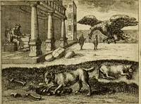Picture 34 of 103 from Phaedri, Augusti Caesaris liberti, Fabularum Aesopiarum libri quinque ; notis perpetuis illustrati, & cum integris aliorum observationibvs (1667), leaf 152