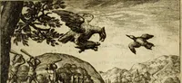 Picture 44 of 103 from Phaedri, Augusti Caesaris liberti, Fabularum Aesopiarum libri quinque ; notis perpetuis illustrati, & cum integris aliorum observationibvs (1667), leaf 188