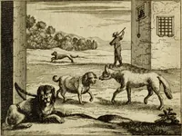 Picture 54 of 103 from Phaedri, Augusti Caesaris liberti, Fabularum Aesopiarum libri quinque ; notis perpetuis illustrati, & cum integris aliorum observationibvs (1667), leaf 238