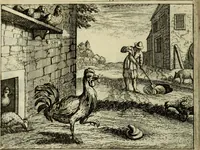Picture 58 of 103 from Phaedri, Augusti Caesaris liberti, Fabularum Aesopiarum libri quinque ; notis perpetuis illustrati, & cum integris aliorum observationibvs (1667), leaf 265