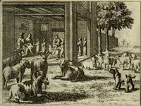 Picture 60 of 103 from Phaedri, Augusti Caesaris liberti, Fabularum Aesopiarum libri quinque ; notis perpetuis illustrati, & cum integris aliorum observationibvs (1667), leaf 276