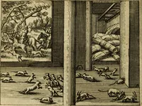Picture 70 of 103 from Phaedri, Augusti Caesaris liberti, Fabularum Aesopiarum libri quinque ; notis perpetuis illustrati, & cum integris aliorum observationibvs (1667), leaf 319
