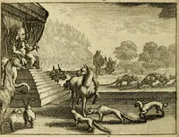 Picture 77 of 103 from Phaedri, Augusti Caesaris liberti, Fabularum Aesopiarum libri quinque ; notis perpetuis illustrati, & cum integris aliorum observationibvs (1667), leaf 345