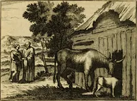 Picture 101 of 103 from Phaedri, Augusti Caesaris liberti, Fabularum Aesopiarum libri quinque ; notis perpetuis illustrati, & cum integris aliorum observationibvs (1667), leaf 467