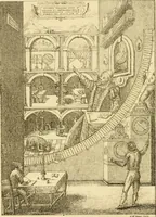 An illustration from The phenomena and order of the solar system (1843)
