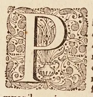 An illustration from Philolai, sive, Dissertationis de vero systemate mvndi, libri IV (1639)