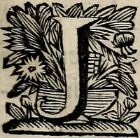 An illustration from Philologus Hebraeus : continens quaestiones hebraicas quae circa Vetus Testamentum Hebraeum fere moveri solent (1694)