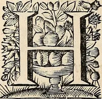 An illustration from Philologus Hebraeus : continens quaestiones hebraicas quae circa Vetus Testamentum Hebraeum fere moveri solent (1694)