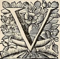 An illustration from Philologus Hebraeus : continens quaestiones hebraicas quae circa Vetus Testamentum Hebraeum fere moveri solent (1694)
