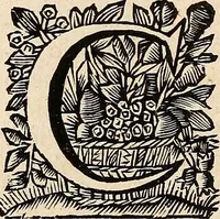 An illustration from Philologus Hebraeus : continens quaestiones hebraicas quae circa Vetus Testamentum Hebraeum fere moveri solent (1694)
